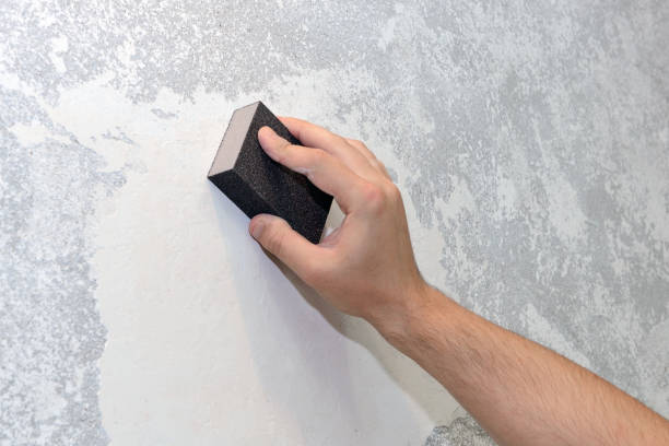 Best Mold Remediation for Healthcare Facilities  in Woodridge, IL