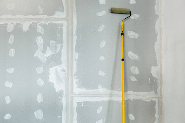 Best Real Estate Mold Inspection  in Woodridge, IL