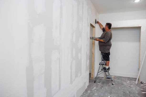 Best Mold Remediation for Healthcare Facilities  in Woodridge, IL