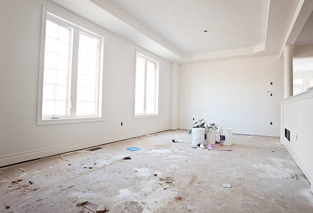 Best Post-Construction Mold Inspection  in Woodridge, IL