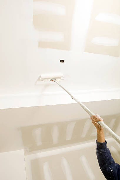 Best Commercial Mold Inspection  in Woodridge, IL