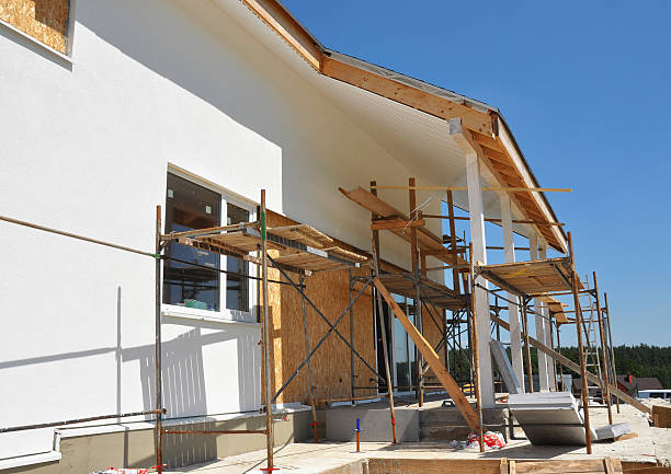 Best Emergency Mold Remediation  in Woodridge, IL