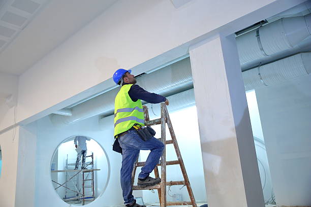 Best Basement Mold Removal  in Woodridge, IL